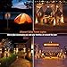 Solar Flame Torches Lights Flickering Flame Dancing Landscape Lanterns Dusk to Dawn IP65 Waterproof for Outdoor Garden, Parties, Campfires, Camping, Beaches Lighting and Decoration (1)