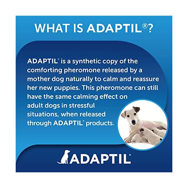 ADAPTIL Calm 30 day Refill, helps dog cope with behavioural issues and life challenges - 48 ml (Pack of 1)