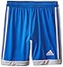 adidas Performance Boys Tastigo Shorts, Blue/Onix, Small