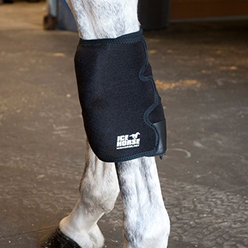Ice Horse Knee Wrap Single Sporting Goods Outdoor Recreation Equestrian