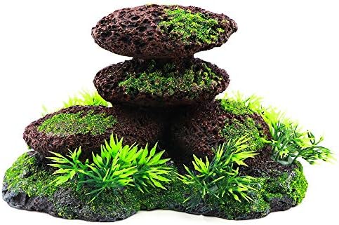 aquarium landscape rock