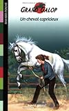 Image de Un cheval capricieux (French Edition)