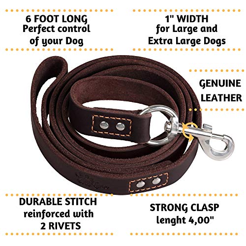 ADITYNA - Heavy Duty Leather Dog Leash 6 Foot - Strong and Soft Leather Leash for Extra Large, Large and Medium Dogs - Dog Training Leash (XL - 6 ft x 1 inch, Brown)