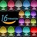Toilet Light Motion Activated,Zerhunt Toilet Night Light 16 Colors LED Bathroom Accessories Toilet Seat Nightlight