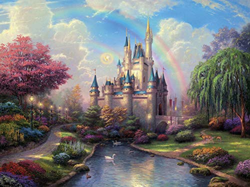 Toudorp Malen nach Zahlen Kits mit 3X Lupenkarte 40 x 50 cm DIY Acrylmalerei - Traumschloss (ohne Rahmen)