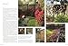 Encyclopedia of Garden Design and Structure: Ideas and Inspiration for Your Garden