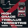 (New) Weider Weider Premium Tribulus Testosterone Support for Men, 1,800 mg of high-Quality Tribulus Terrestris, 30 Day…