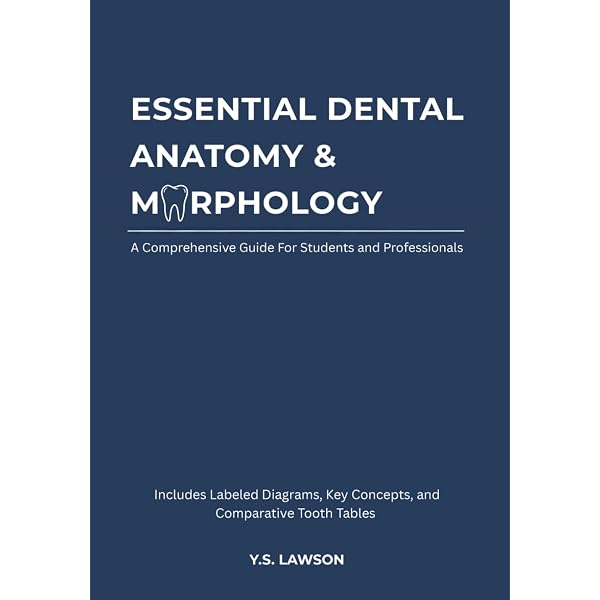 Dental Anatomy and Morphology: 9780867157703: Medicine & Health