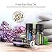 Anjou Essential Oils Set, 18Pcs 5mL Aromatherapy Oils Set, 2019 New Version Formula, Includes Lavender, Sweet Orange, Tea Tree, Eucalyptus, Lemongrass