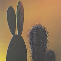 Quitapenas Ablum Cover