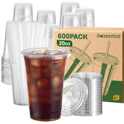 600 Pack 20 oz Plastic Cups with Lids and Straws for Cold Drinks at Amazon