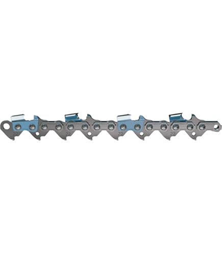 Amazon.com: Oregon 22BPX067G Micro-Chisel Saw Chain .325-Inch