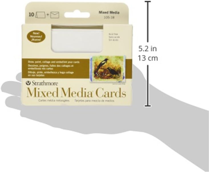 Strathmore 105-18 Mixed Media Cards, Announcement Size, Vellum, 10 Cards & Envelopes: Office Products