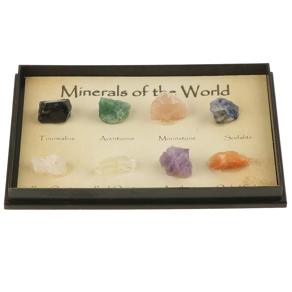 8pcs/Set Rocks and Minerals Collection Earth Science Toy Geology School