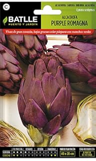 Semillas Fitó 1310 - Semillas de Alcachofa Talpiot: Amazon.es: Jardín