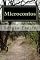 Livro Microcontos