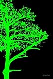 My Daily Journal: Scary Halloween Tree, Lined Journal, 6 x 9, 200 Pages by 