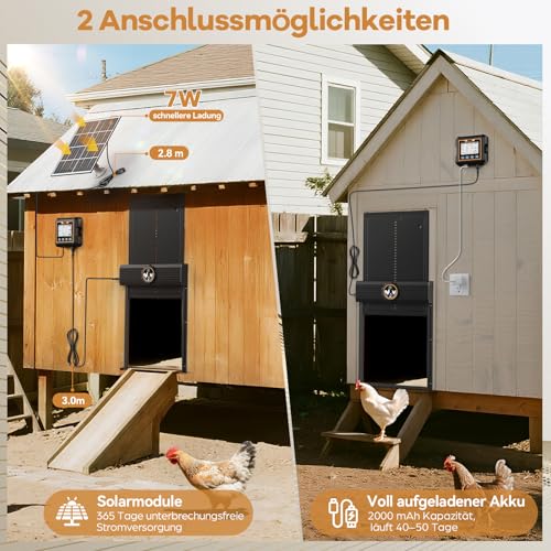 Large Automatic Chicken Flap Solar with Waterproof Control, Aluminium Chicken Flap Automatic with Light Sensor, Timer, 7 W Solar Panel, Pinch Protection, Remote Control, Electric Chicken Door
