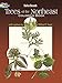 Trees of the Northeast Coloring Book (Dover Nature Coloring Book)