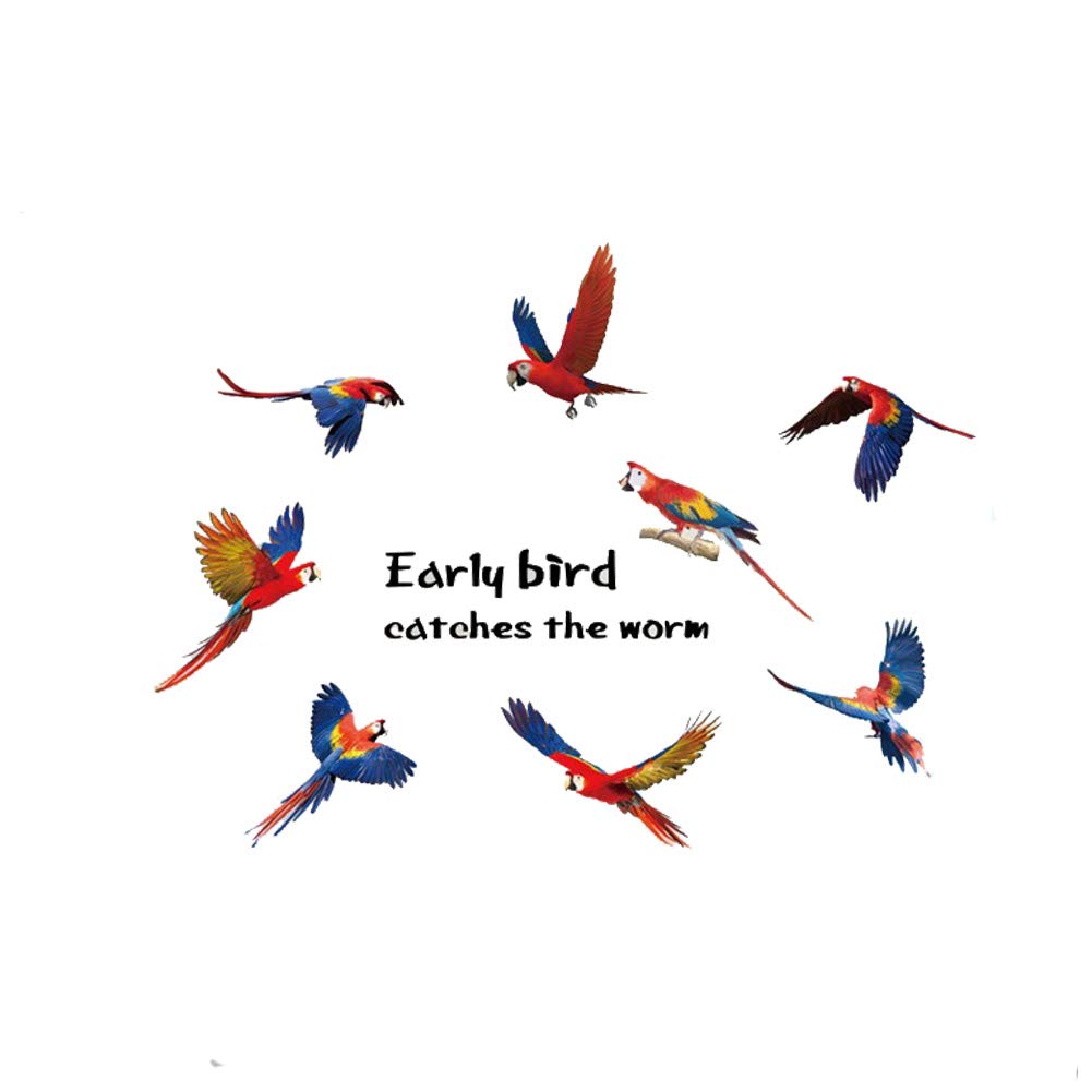 Assorted Inspiring Quote Vinyl Removable wall Sticker Mural Decal for Living Room - Early bird catches the Worms