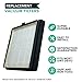 Crucial Vacuum Replacement Vacuum Filter Compatible with Dirt Devil Vacs - Part F45 - Fits Models Pets Canister SD40000, EZ Lite Canister SD40010, Parts 2KQ0107000 2-KQ0107-000 F45 F-45 Bulk (1-Pack)