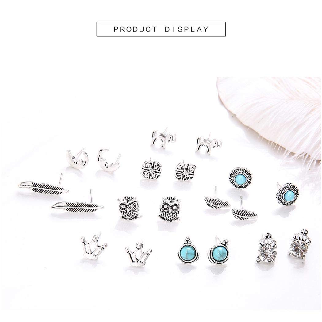 kirken 10 Pair Stud Earrings Crown Leaf Animal Geometric Pierced Earring Set Gift for Women