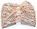 Lovef Elastic Double Combs Handmade Beaded Flower Hair Clips Hair Holder Ez Hair Comb (7#)