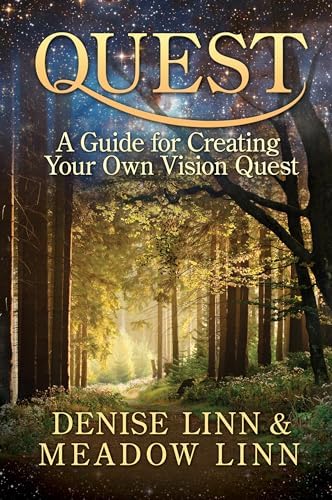 Book Of Vision Quest: Foster, Steven: 9780671761899: Amazon.com: Books