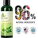 Dandruff Shampoo with Tea Tree Oil for Men and Women - All Natural No Sulfate Anti-dandruff Formula with Organic Essential Oils - 100% and USA Made By Honeydew Products