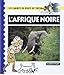 L'Afrique noire by