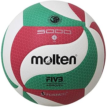 Molten Official NORCECA Volleyball