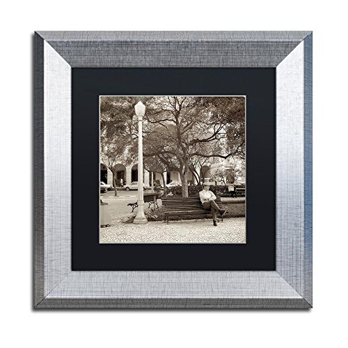 Trademark Fine Art ALI5198-S1111BMF Faro I by Alan Blaustein, Black Matte, Silv…