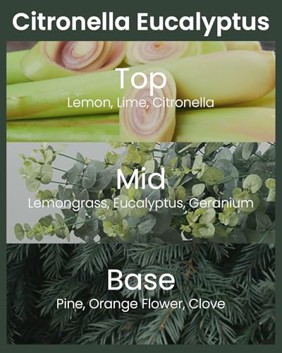 M&SENSE Citronella Candles Outdoor, Citronella Eucalyptus Scented Candle 19.4 oz,Eucalyptus Lemongrass Candle Outdoor,Lemongrass Summer Citronella Candles for Patio Camping, 120 Hours Burn