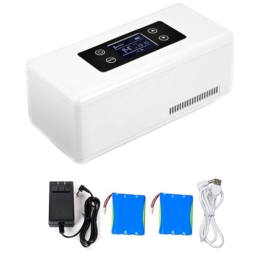 Refrigerador de coche YLLXX Caja Refrigerada Mini Insulina ...