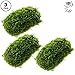 Luffy 3 Pcs. Coco Mini Moss, Hiding & Breeding Spot for Fry & Shrimps, Aquatic Play Toy, Fish Moves Around or Swim Under, Builds a Beautiful Aquascape, Easy Care, Hardy, and Long-Lasting Plan