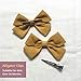 Cherssy Baby Girl Hair Bows Clips Barrettes, 10pcs Hair Alligator Clips Accessories for Toddlers, School Girls, Children
