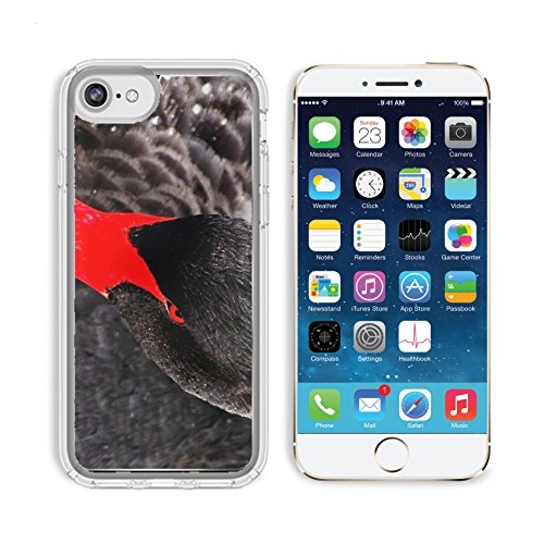 MSD Apple iPhone 6/6s Clear case Soft TPU Rubber Silicone Bumper Snap Cases iPhone6/6s IMAGE of beak black nature bird red swan beauty feather animal water beautiful neck close eye bill