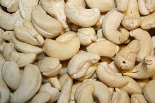 Raw Cashew Pieces (10 Pound Case)