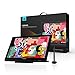 Huion KAMVAS GT-191 V2 Drawing Monitor with HD Screen Drawing Tablet Battery-Free Stylus 8192 Pen Press 10 Pen Nibs - 19.5 Inch