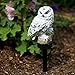 Evelots White Owl Solar LED Lawn & Garden Light, Keep Birds & Squirrels Away