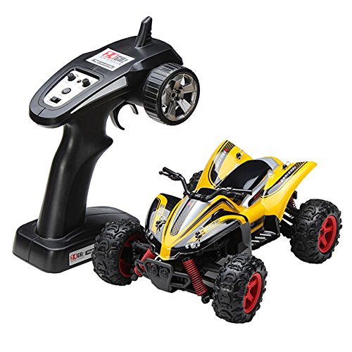 fstgo rc car