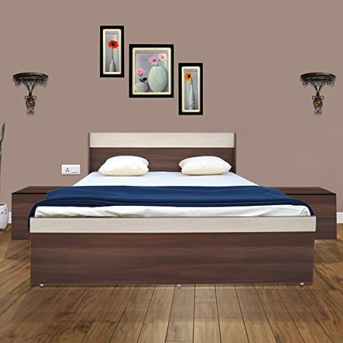 UNiCOS Ivon Queen Size Engineered Wood Bed (Particle Board - Moldau Acacia and Light Acacia)
