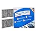 Spearhead Odor Defense Breathe Easy AC & Heater Cabin Filter | Fits Frontier, NV1500/2500/3500, Pathfinder, Xterra, Equator Like OEM | Up to 25% Longer Lasting w/Activated Carbon (BE-553)