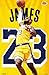 Trends International NBA Los Angeles Lakers - Lebron James 2018 Wall Poster, 22.375