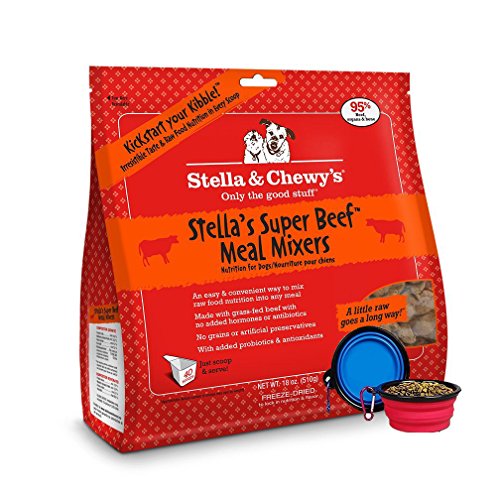 best raw dog food brand