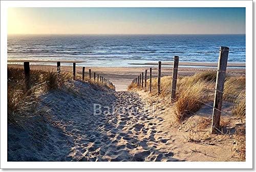 Amazon Com Barewalls Path To North Sea Beach In Gold Sunshine