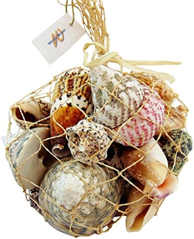 Sea Shells in a Net Bag with a 1.25lb Mixed Assortment of Natural Seashells