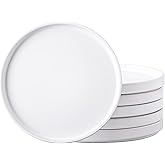 AmorArc Ceramic Dinner Plates Set of 6, 10.0 Inch Matte Stoneware Plates for Kitchen,Modern Flat Dinnerware Dishes Set,Microwave& Dishwasher Safe, Scratch Resistant, Matte white