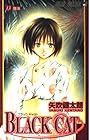BLACK CAT 第13巻