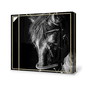 Black and White Horse Home Artwork for Living Room Bedroom